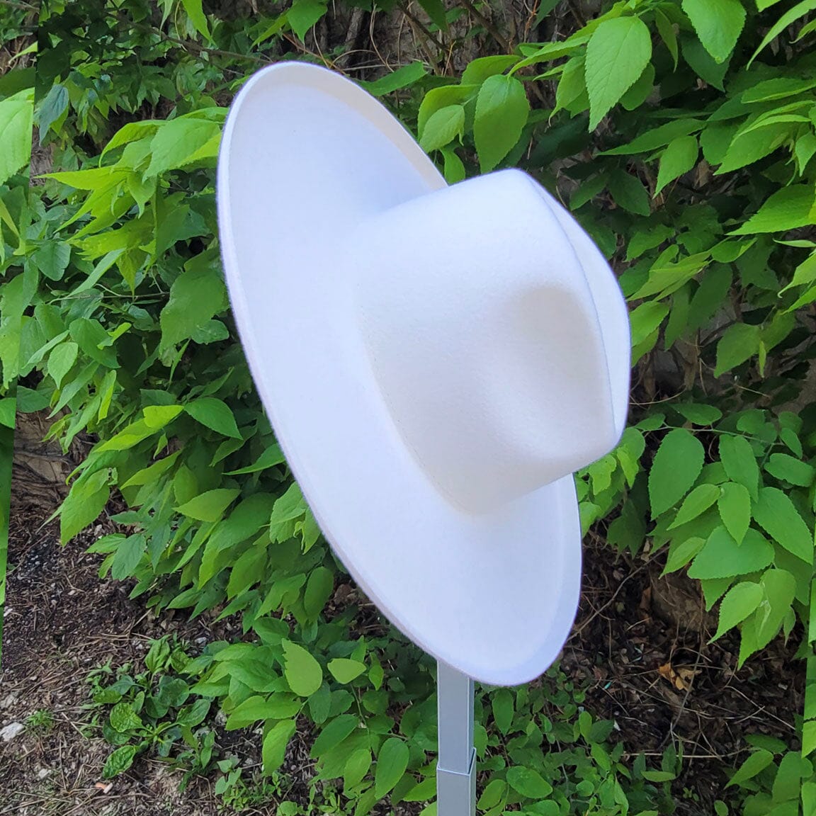 Melodic Fedora Hat - Ivory - LCMFI