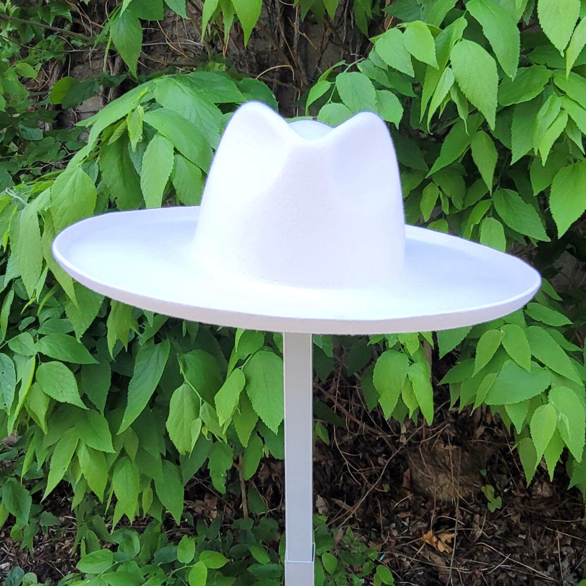 Melodic Fedora Hat - Ivory - LCMFI